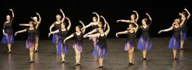 Gala de danse classique adultes 2026 